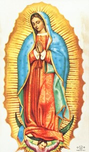 our lady of guadalulpe brochure